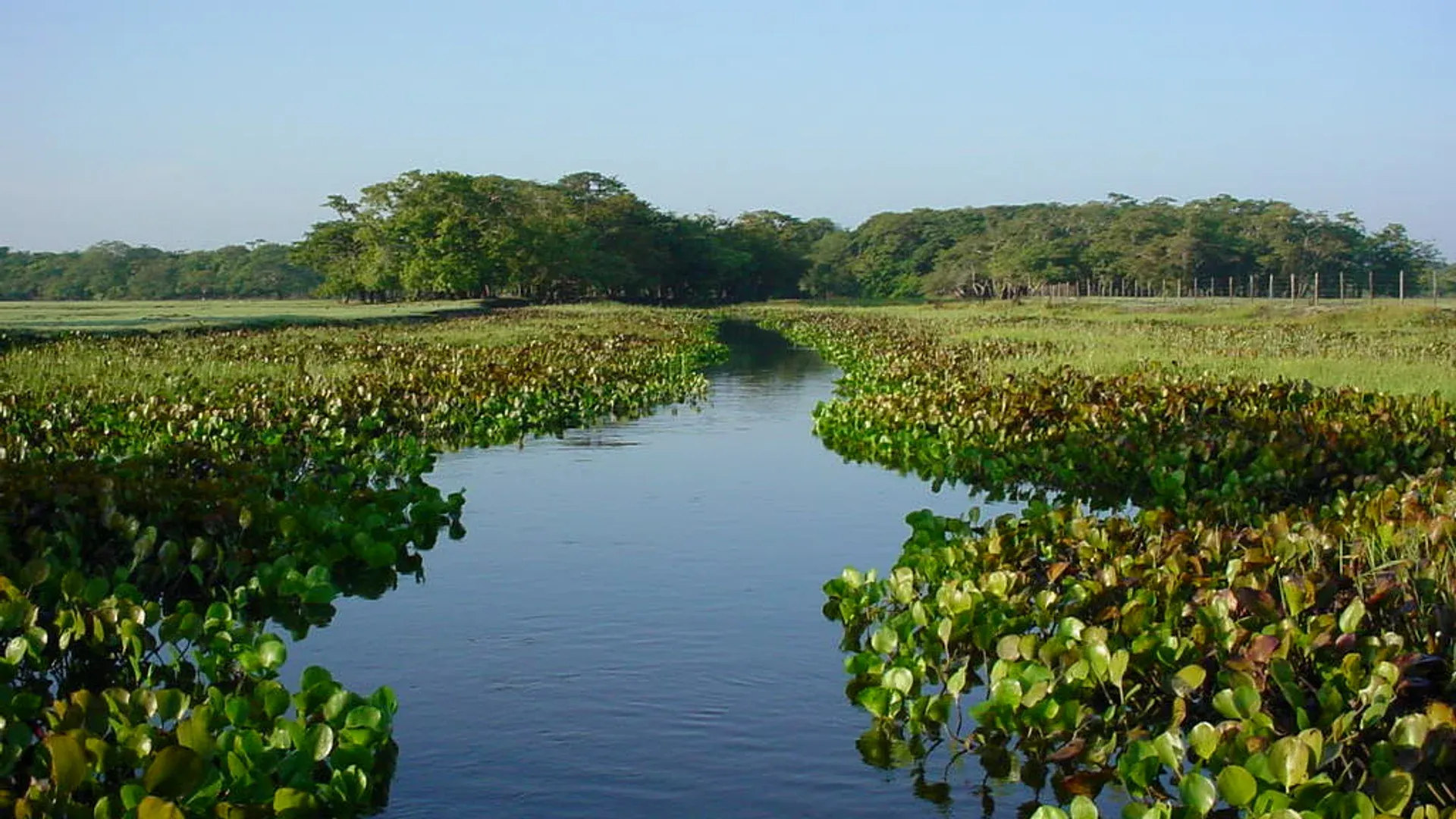 Vista da cidade de Tartarugalzinho, Amapá